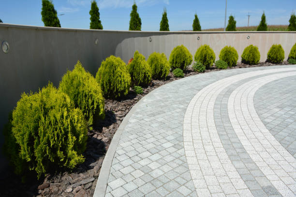 Best Residential Driveway Paver Services  in Cabin John, MD